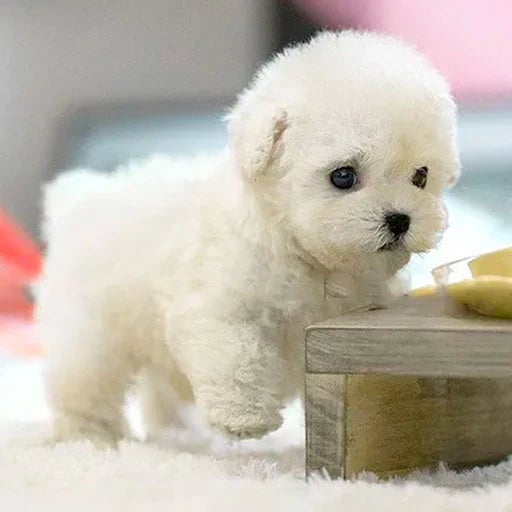 Brinquedo interativo de peluche em forma de cachorro, com cauda que abana e cabeça que se vira