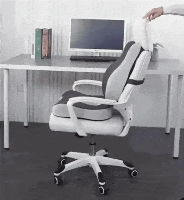 NovaLum Memory Foam Lumbar & Seat Cushion Set for Car and Office