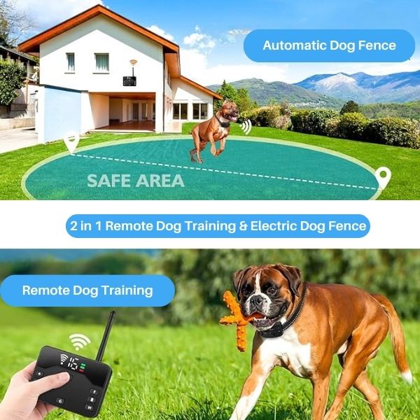 Kabelloses Hundezäunungs- und Halsbandsystem, PawGuard Boundary Pro Set