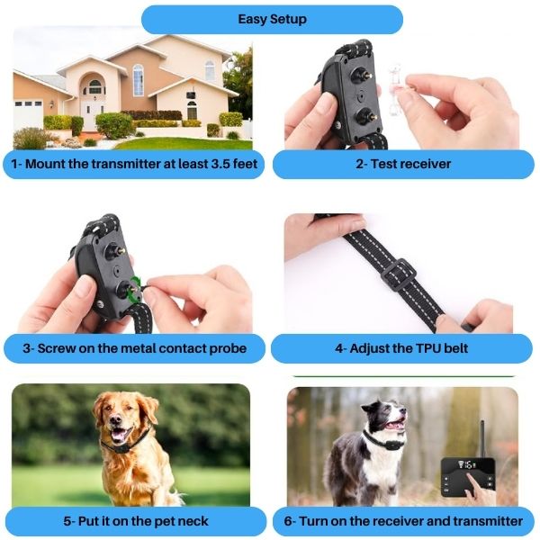 Kabelloses Hundezäunungs- und Halsbandsystem, PawGuard Boundary Pro Set