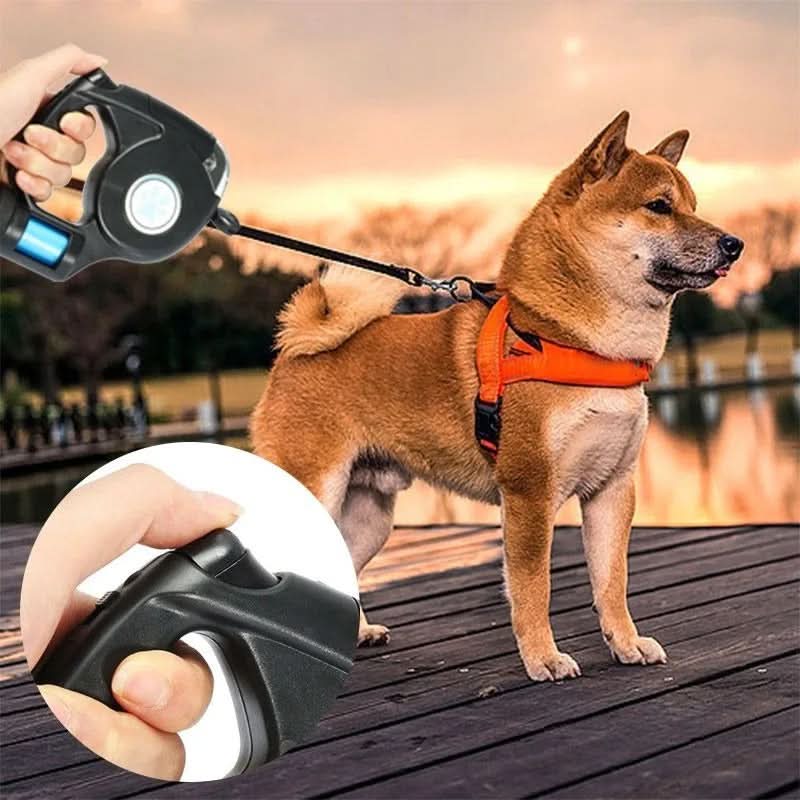 Laisse LED pour chien avec lampe intégrée pour des promenades en toute sécurité - Fioriscas
