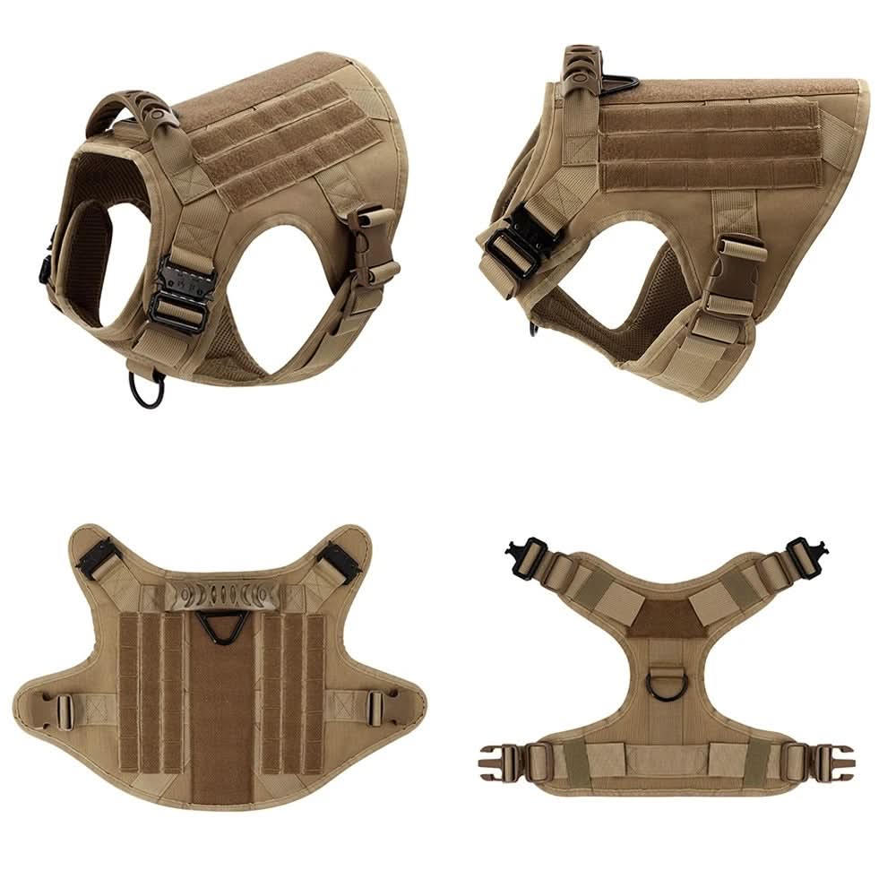 安全なトレーニングのための頑丈で快適なデザイン - Fioriscas