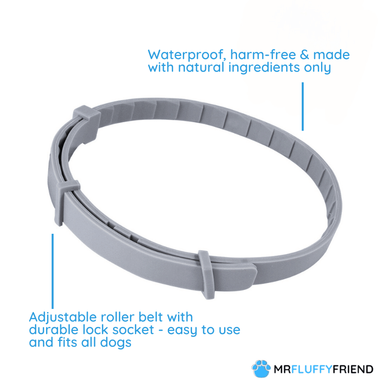 Collier répulsif anti-puces et anti-tiques pour chien, réglable et étanche, pour l’extérieur