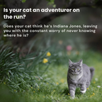 PawTrail Waterproof Cat GPS Tracker, Real-Time Location Tracking
