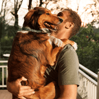 Collier répulsif anti-puces et anti-tiques pour chien, réglable et étanche, pour l’extérieur