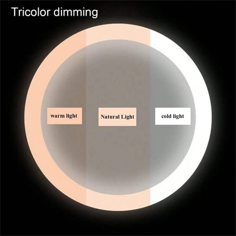 Dimmable LED Vanity Mirror, 360° Rotation, Touch Control, 15.8 In