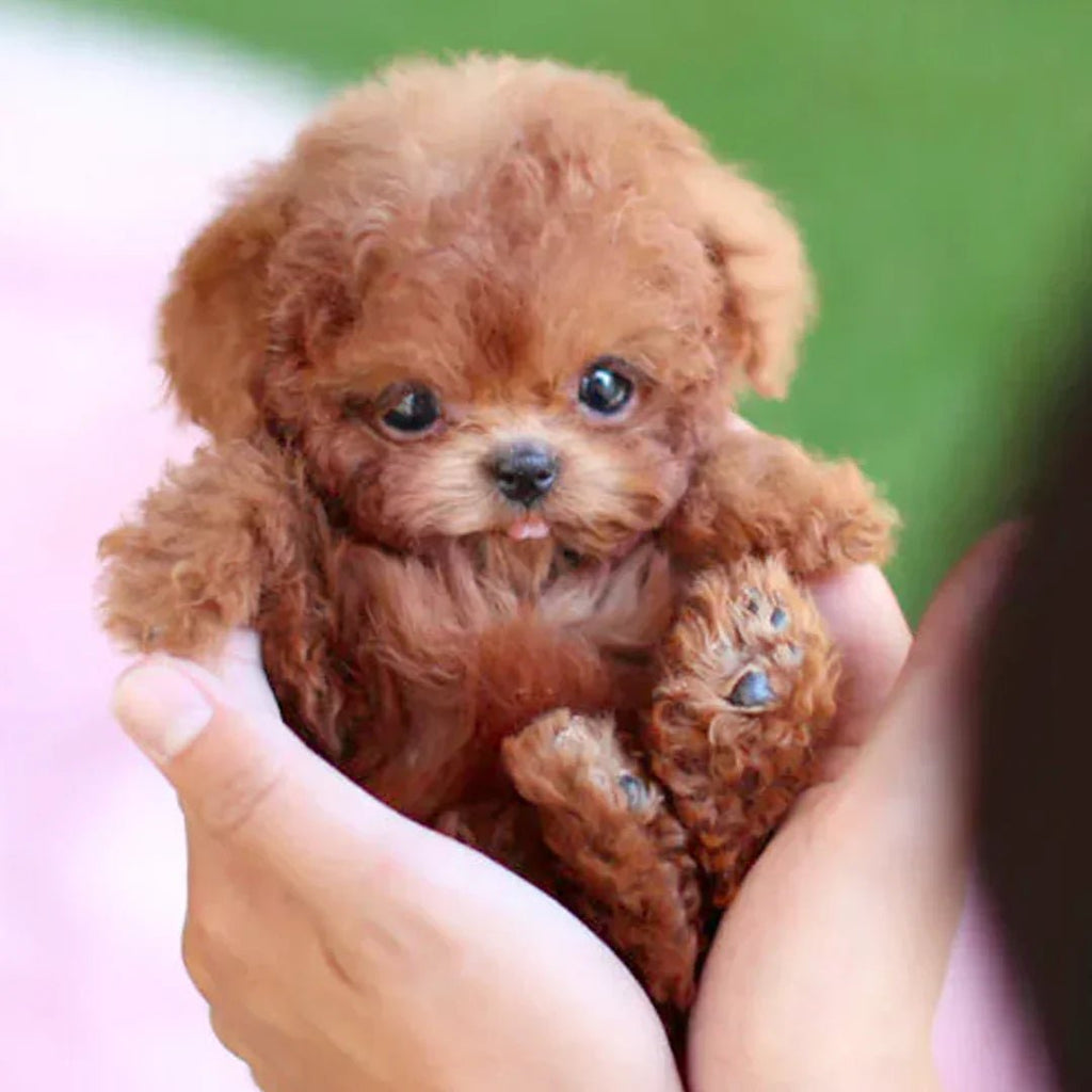 Brinquedo interativo de peluche em forma de cachorro, com cauda que abana e cabeça que se vira