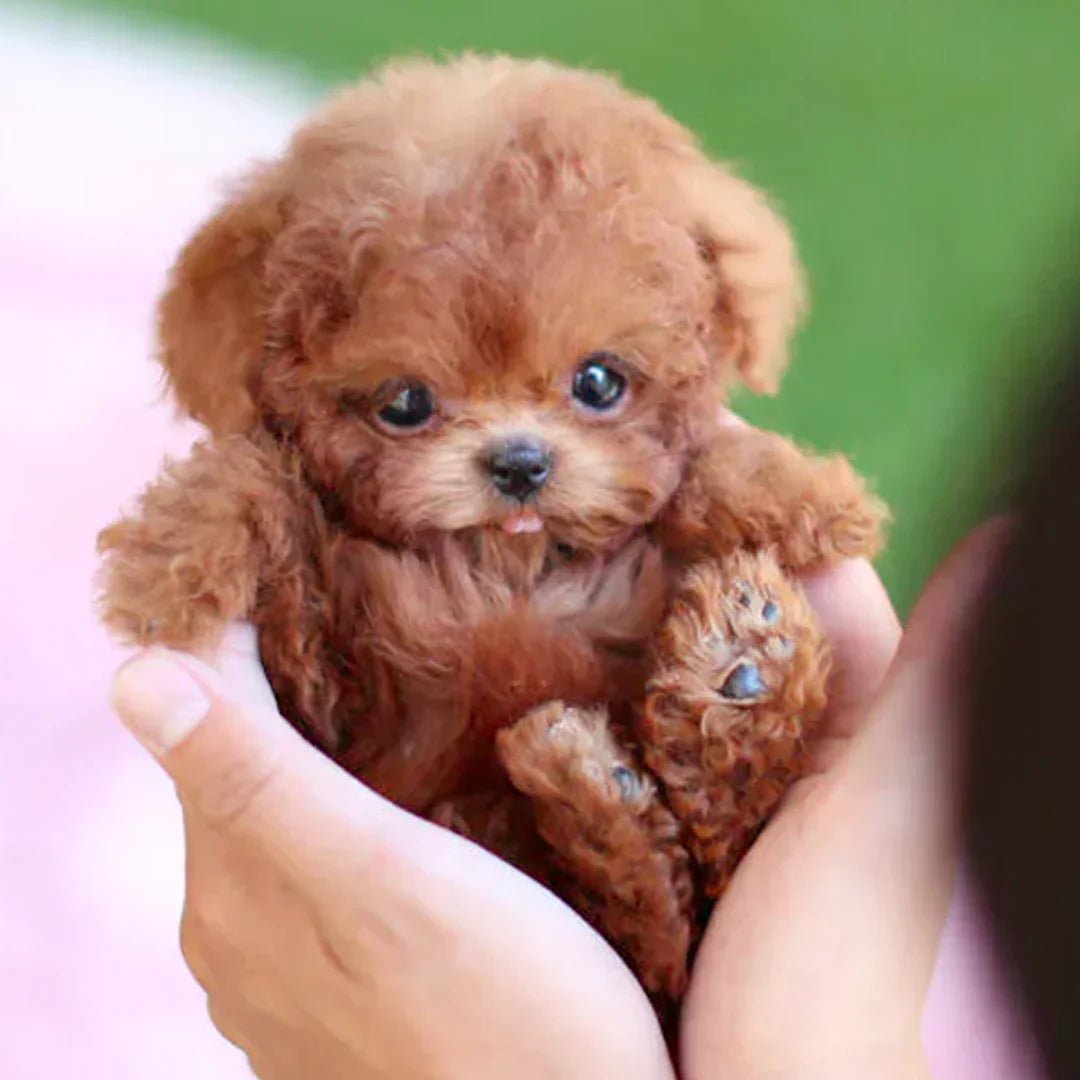 Brinquedo interativo de peluche em forma de cachorro, com cauda que abana e cabeça que se vira