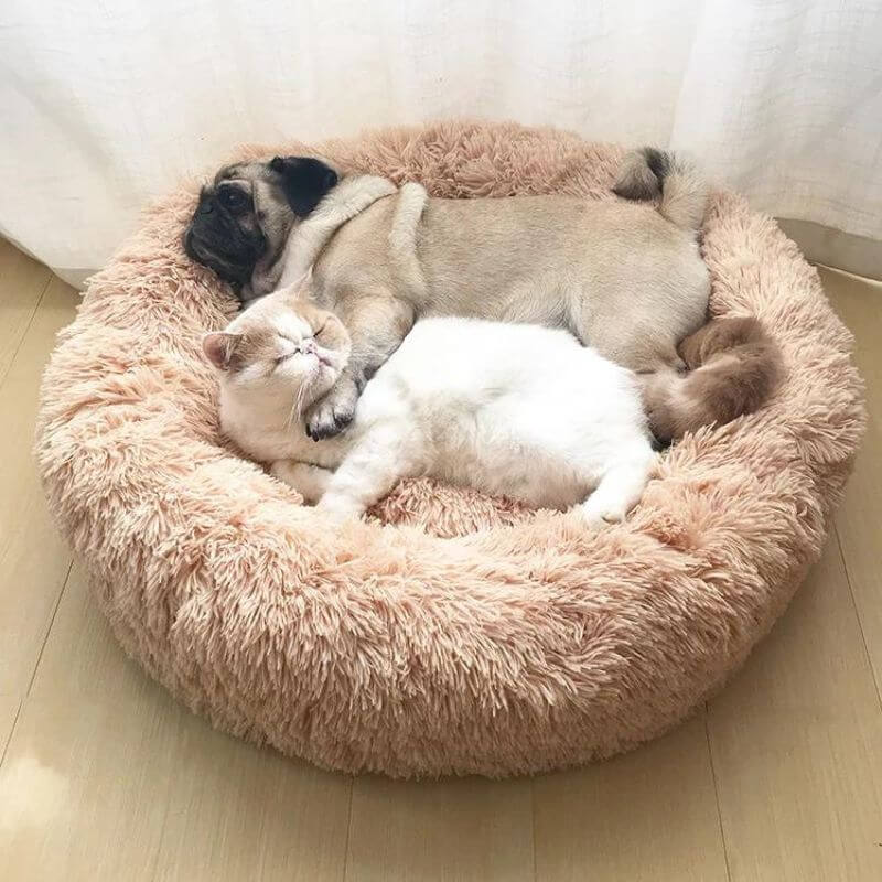 CalmPaws knus kattenbed, zacht kussen in maten XS tot en met XXL