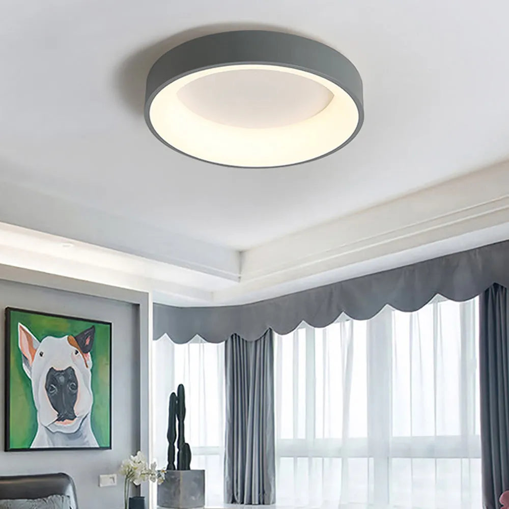 Aera Ceiling Light | Fioriscas