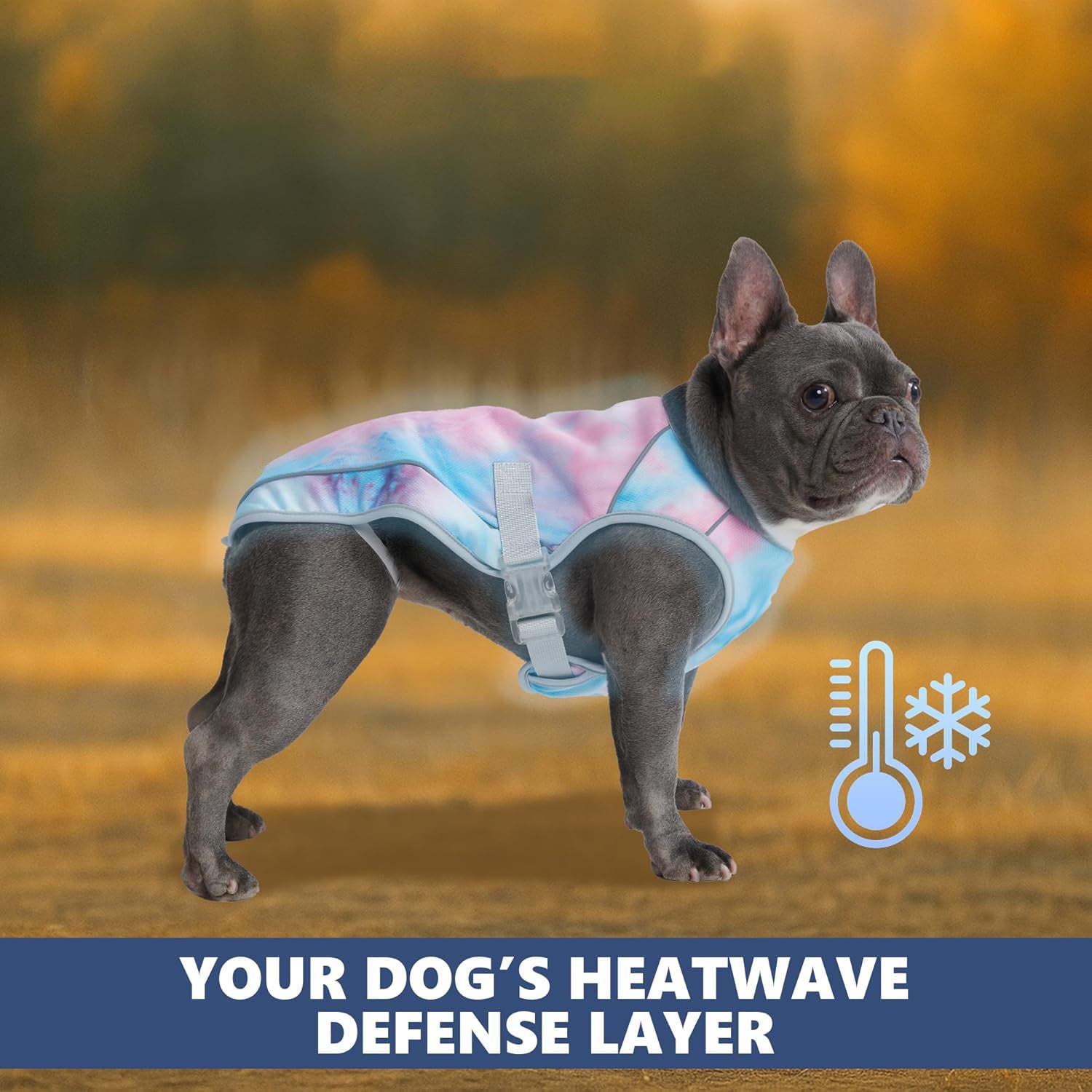 Breathable Canine Cooling Vest With UV Protection For All Breeds S-XXL