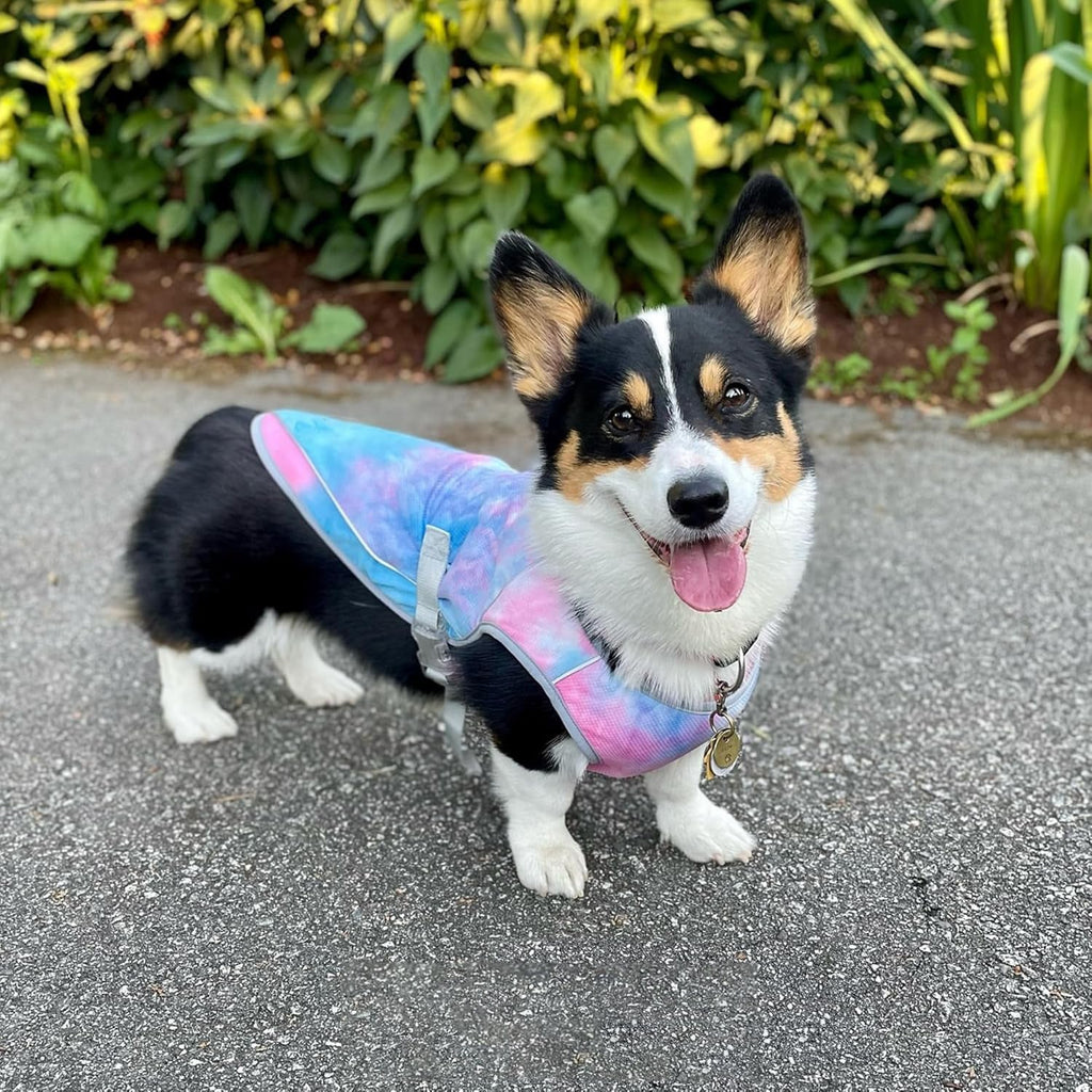 Breathable Canine Cooling Vest With UV Protection For All Breeds S-XXL