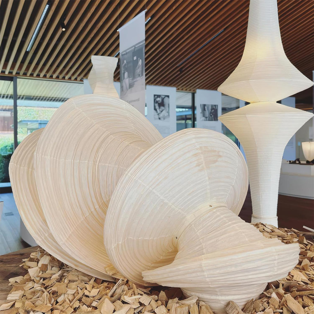 Zyora Sculptural Paper Pendant Lamp | Fioriscas