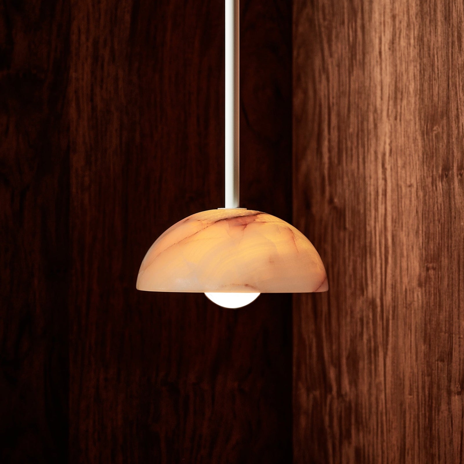 Aurelia Modern Minimalist Elegance Brass Metal Glass Pendant Lamp | Fioriscas