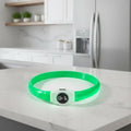 LED világító nyakörv kutyáknak biztonságos esti sétákhoz - Fioriscas