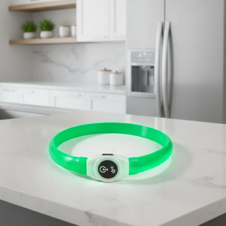 LED világító nyakörv kutyáknak biztonságos esti sétákhoz - Fioriscas
