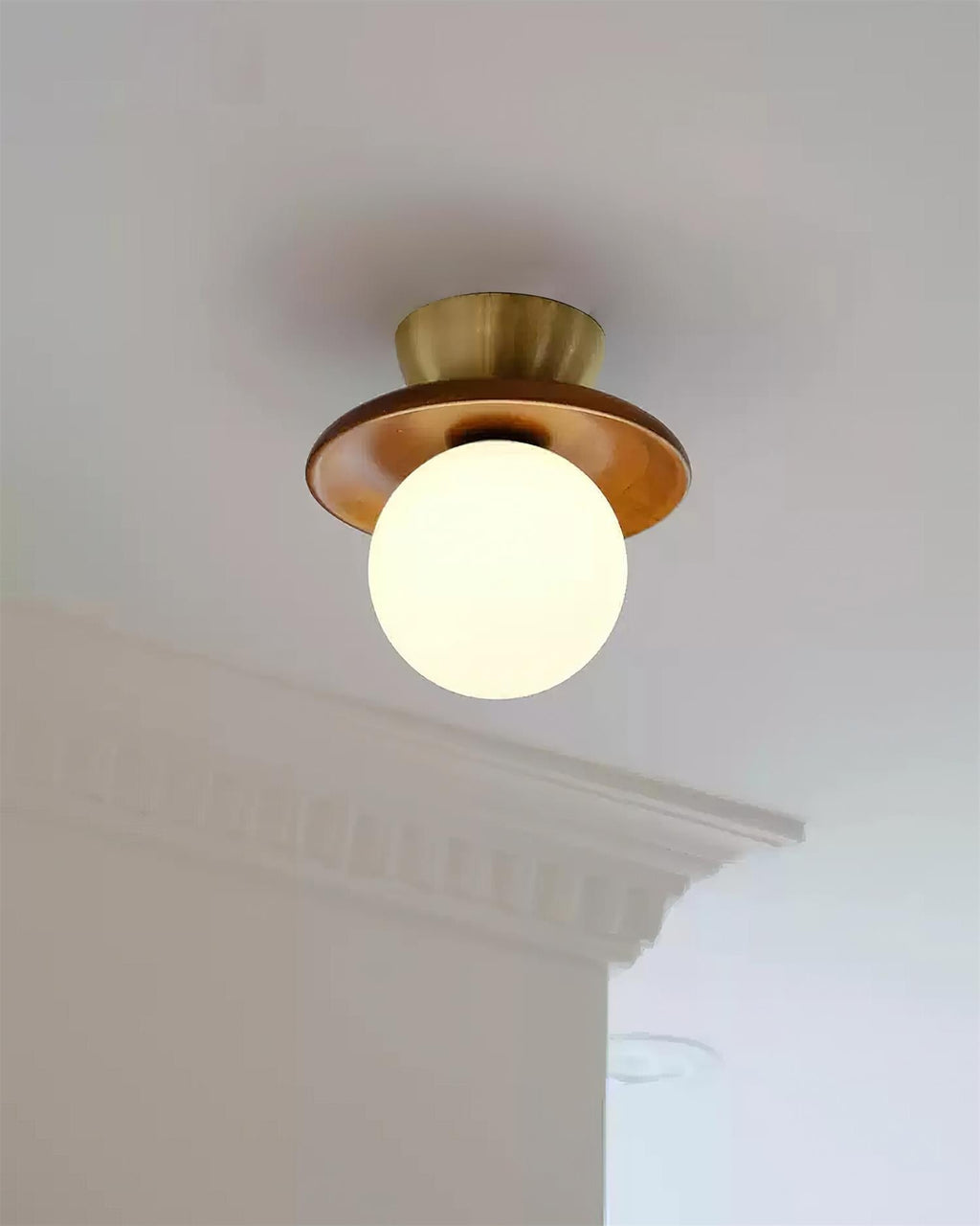 Ceiling Light Globe Opal Glass Modern Brass Walnut Accent Flush Mount | Fioriscas