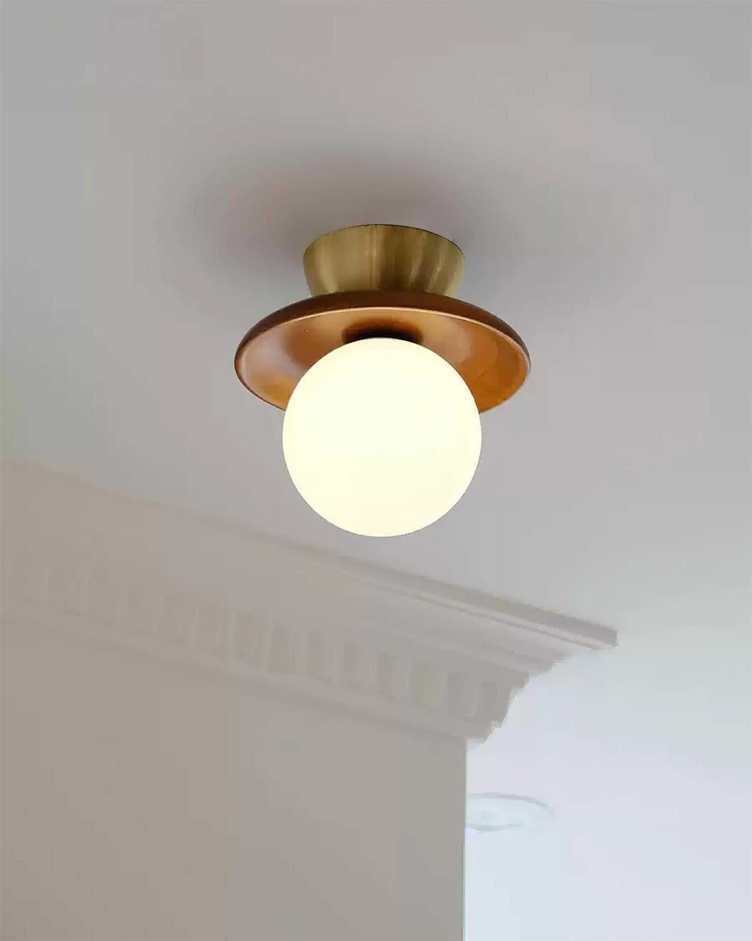 Ceiling Light Globe Opal Glass Modern Brass Walnut Accent Flush Mount | Fioriscas