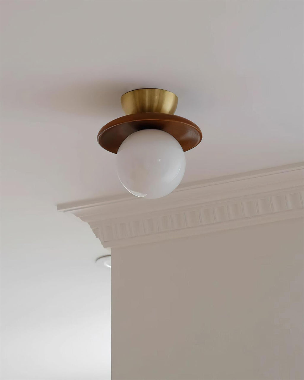 Ceiling Light Globe Opal Glass Modern Brass Walnut Accent Flush Mount | Fioriscas