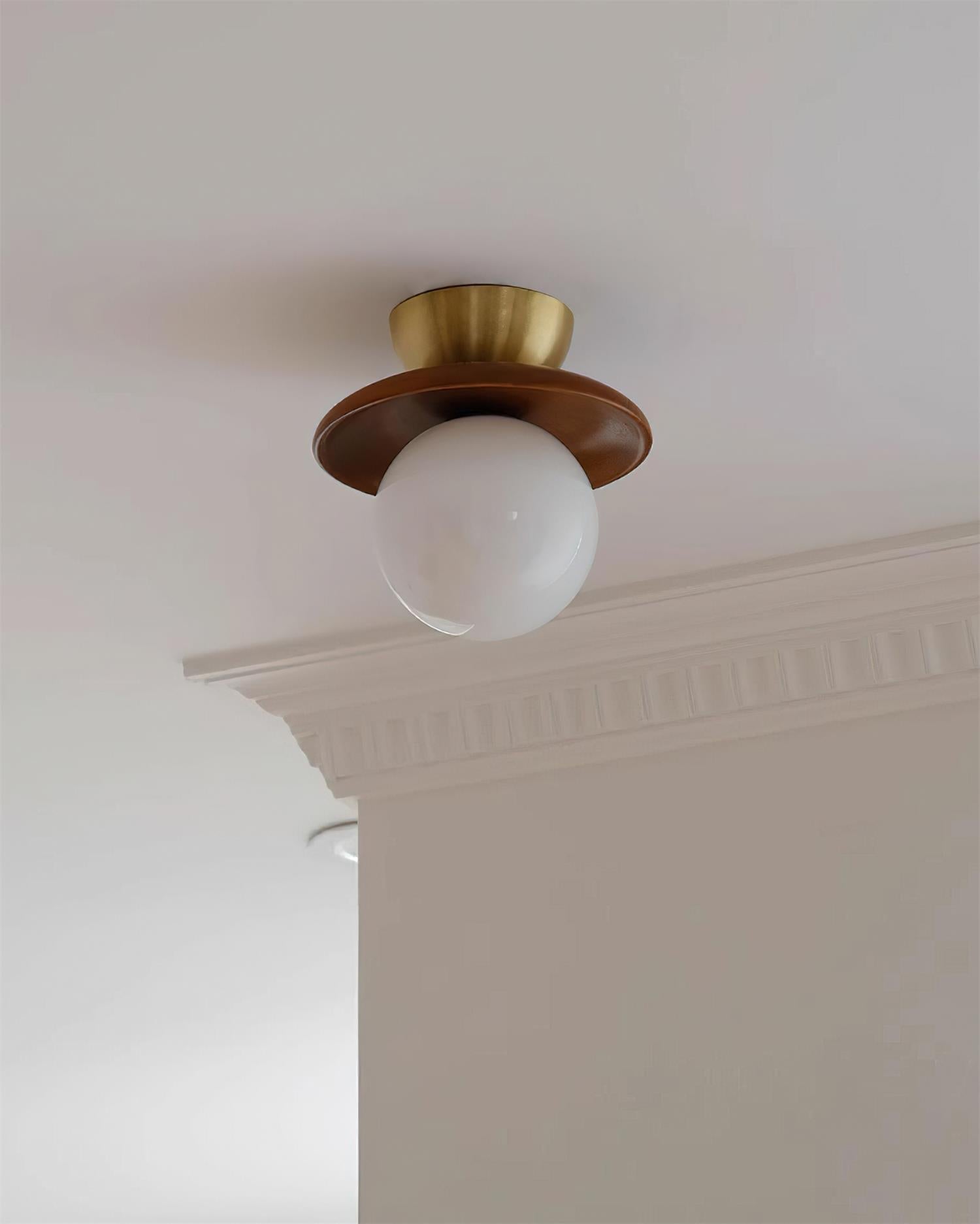 Ceiling Light Globe Opal Glass Modern Brass Walnut Accent Flush Mount | Fioriscas
