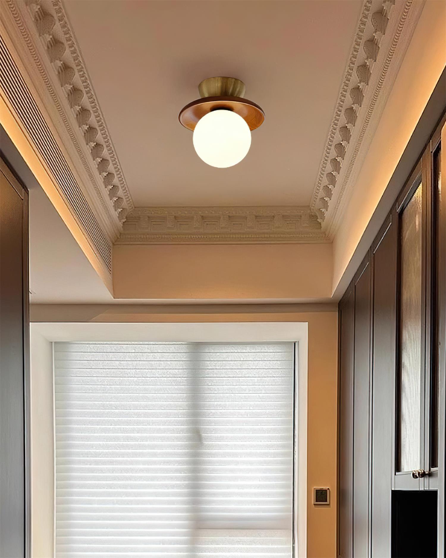 Ceiling Light Globe Opal Glass Modern Brass Walnut Accent Flush Mount | Fioriscas