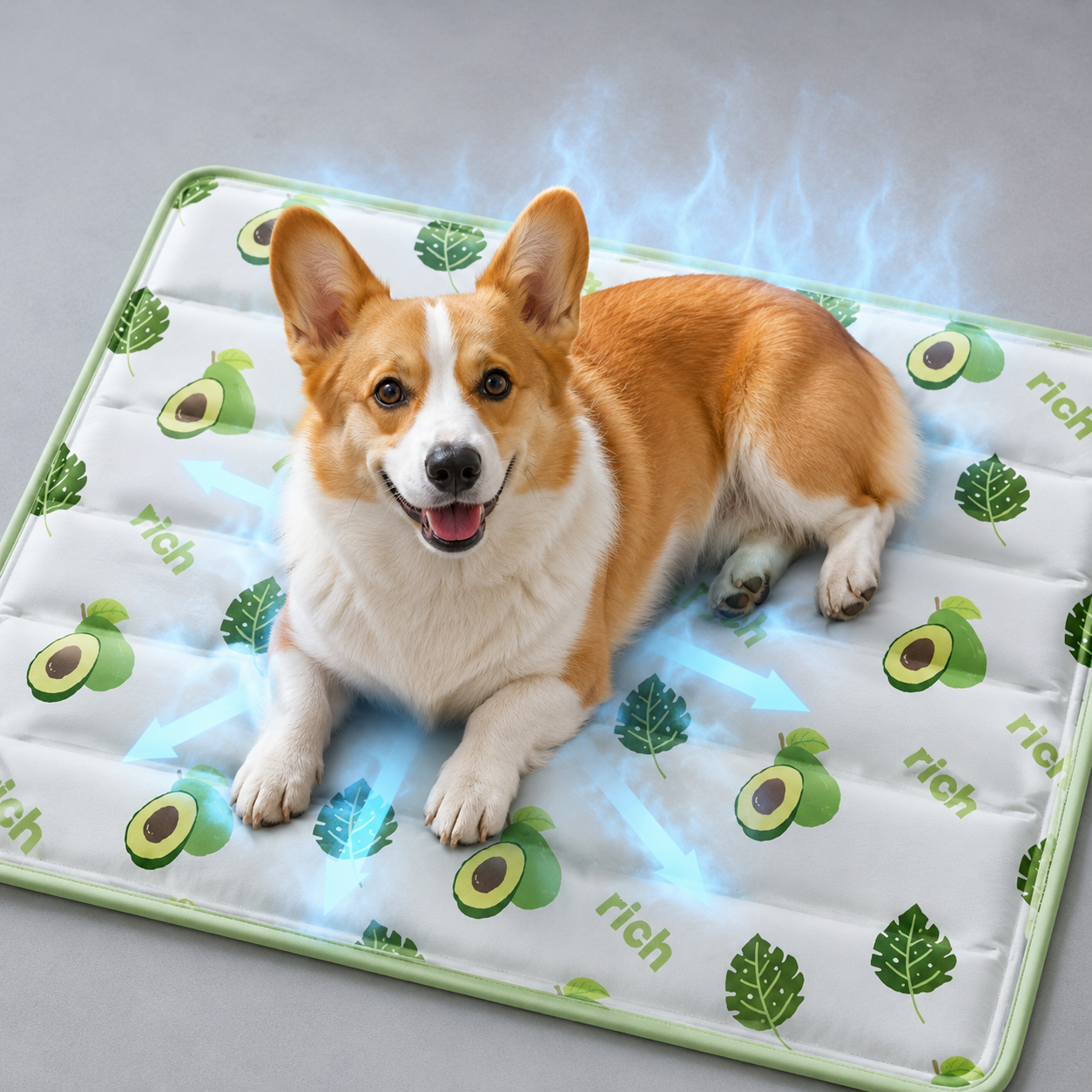 ChillPaws Gel Cooling Pad For Pets No Electricity Needed