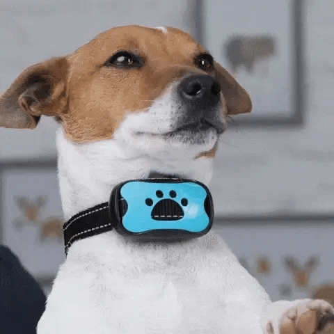Collare antiabbaio intelligente per cani, senza scosse: beep e vibrazione, CalmPaw