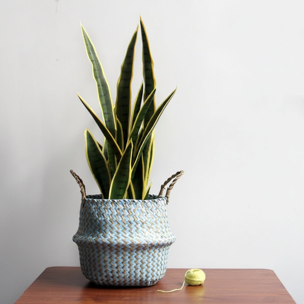 Panier en saule bohème fait main, pliable pour plantes - Fioriscas