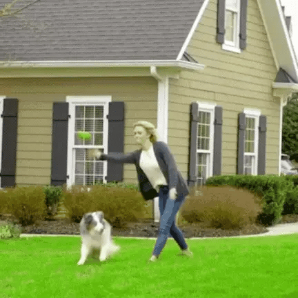 ZenGuard Pro Wireless Dog Fence With Waterproof Training Collar