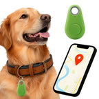 Kirra-vesitiivis GPS-paikannin koiralle Apple Etsi -palveluun, ei tilausmaksua