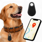 Kirra-vesitiivis GPS-paikannin koiralle Apple Etsi -palveluun, ei tilausmaksua