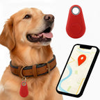 Kirra-vesitiivis GPS-paikannin koiralle Apple Etsi -palveluun, ei tilausmaksua