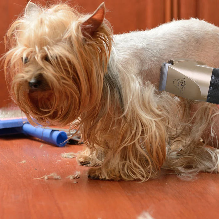 Furiva Quiet Pet Grooming Clippers for At-Home Coat Care