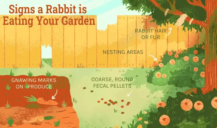 GardenGuard napelemes nyúlriasztó villogó fényű karókkal