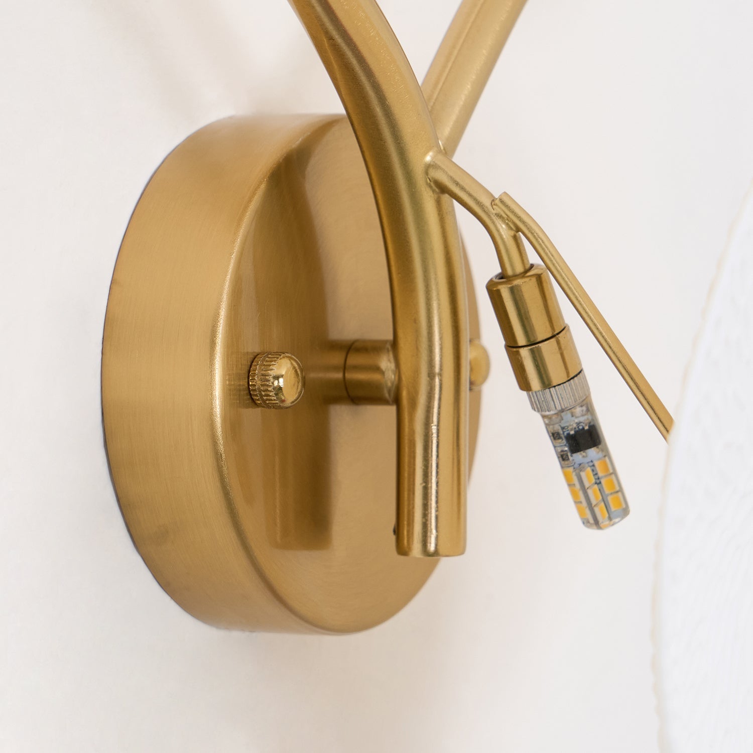 Kaivo Lotus Petal Wall Lamp | Fioriscas