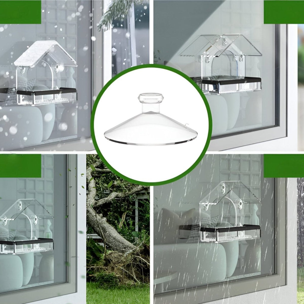 Acrylic Window Bird Feeder with Strong Suction Cups for Close Observation - Fioriscas
