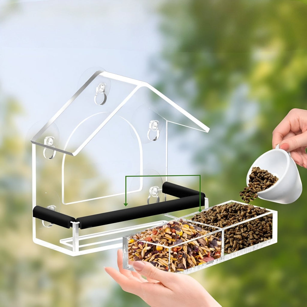 Acrylic Window Bird Feeder with Strong Suction Cups for Close Observation - Fioriscas