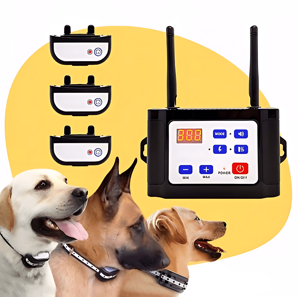 Kabelloses Hundezaund und Trainingshalsband-System - Fioriscas