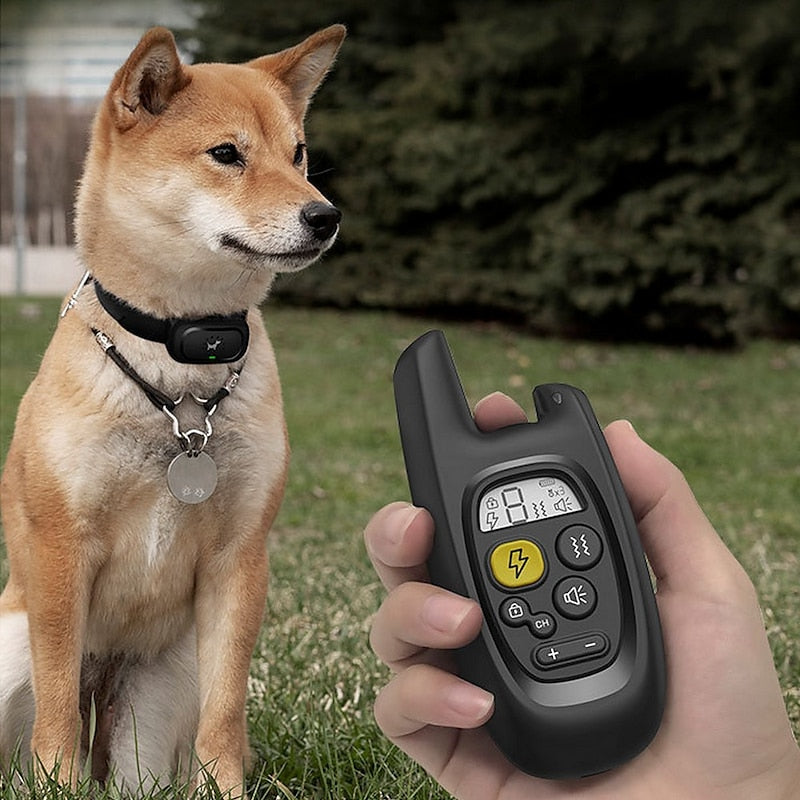 Rechargeable Waterproof Dog Training Collar, 500m Range, AstraPaw Pro
