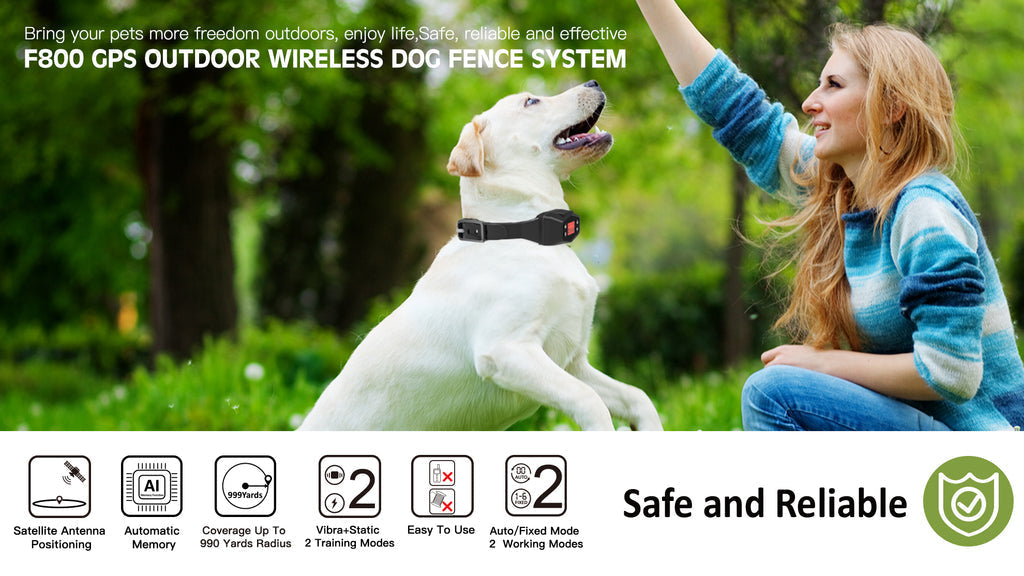 GPS Wireless Dog Fence System, CanineGuard Pro, No Wires, No Subscription