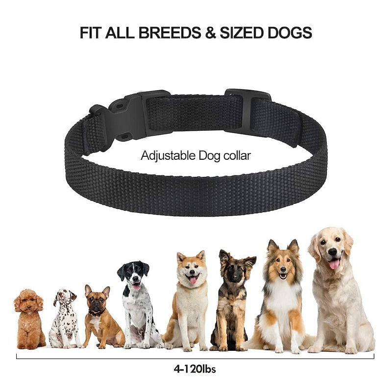 Coleira anti-latido CanineGuard Pro, sensibilidade ajustável, recarregável para todas as raças