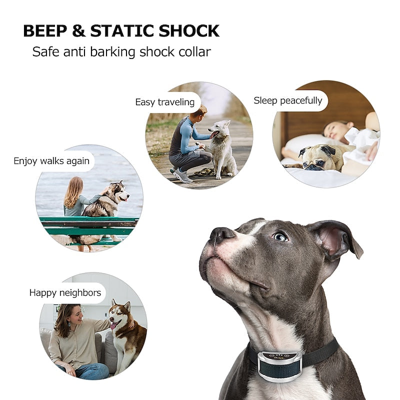 Coleira anti-latido CanineGuard Pro, sensibilidade ajustável, recarregável para todas as raças