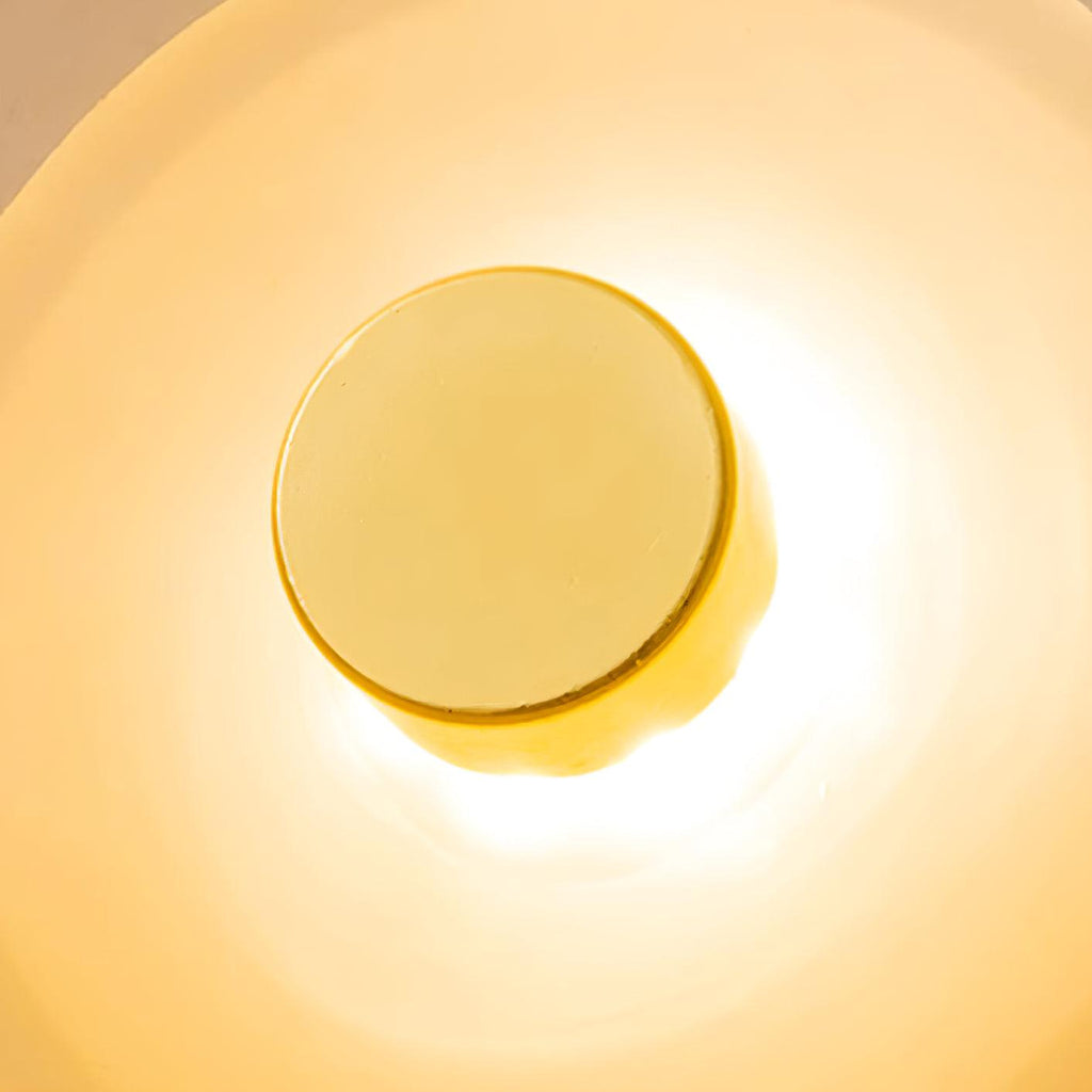 Lunara Amber Glass Wall Light | Fioriscas