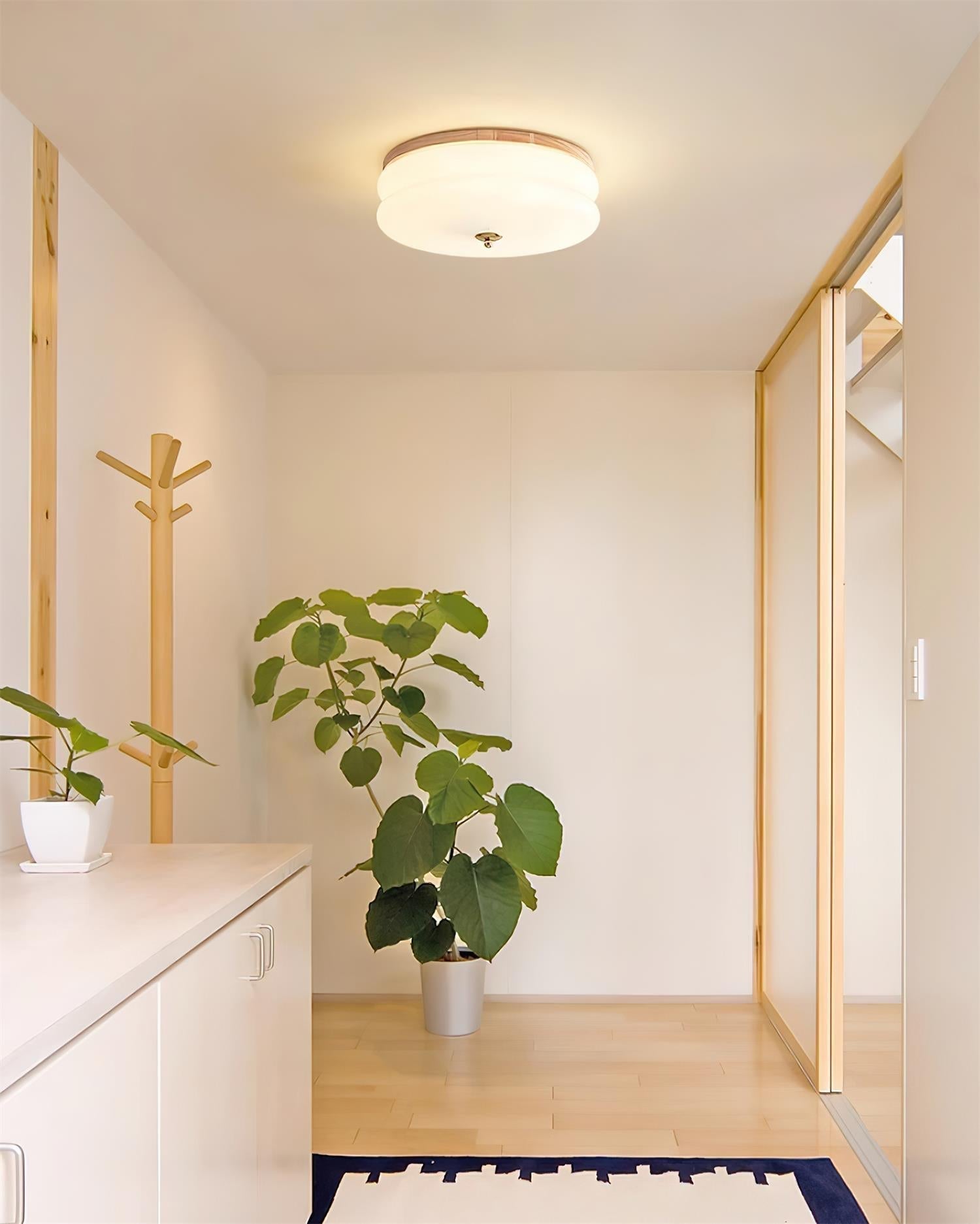 Ceiling Light Double-Layer Glass Disc Walnut Wood Minimalist | Fioriscas