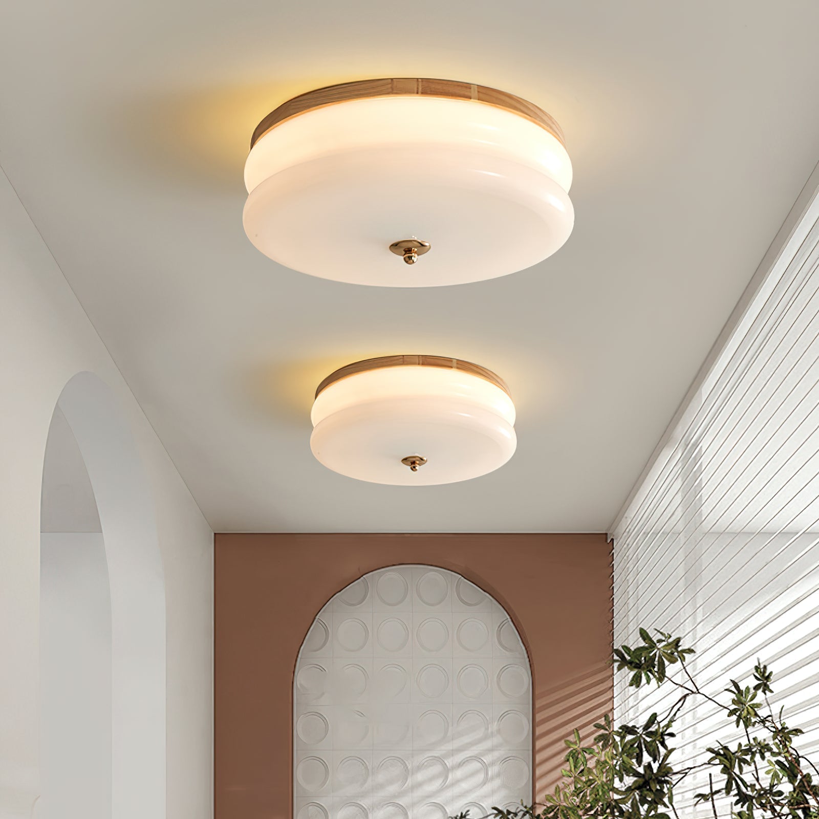 Ceiling Light Double-Layer Glass Disc Walnut Wood Minimalist | Fioriscas