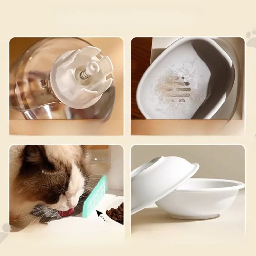 Automatic Food & Water Dispenser for Pets - Fioriscas