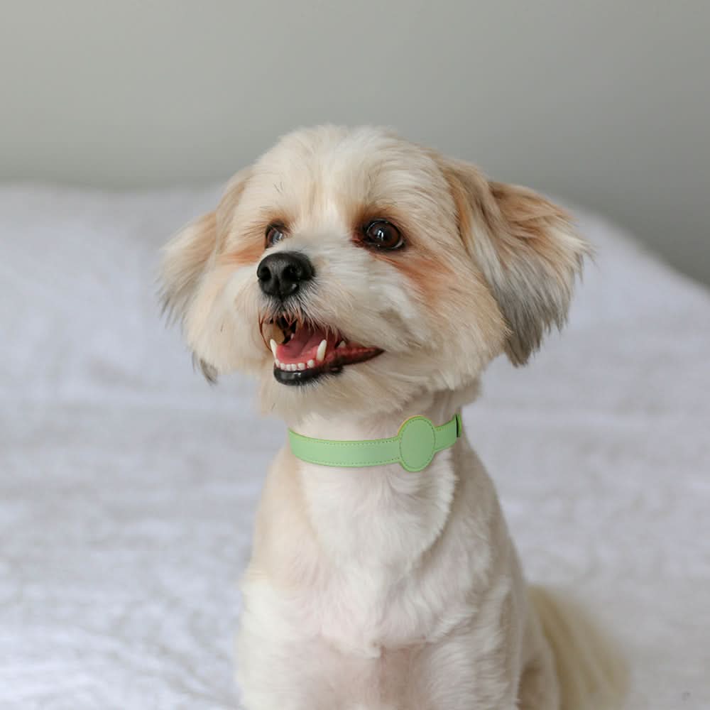 Collar para perro con soporte integrado para AirTag para seguridad y estilo - Fioriscas