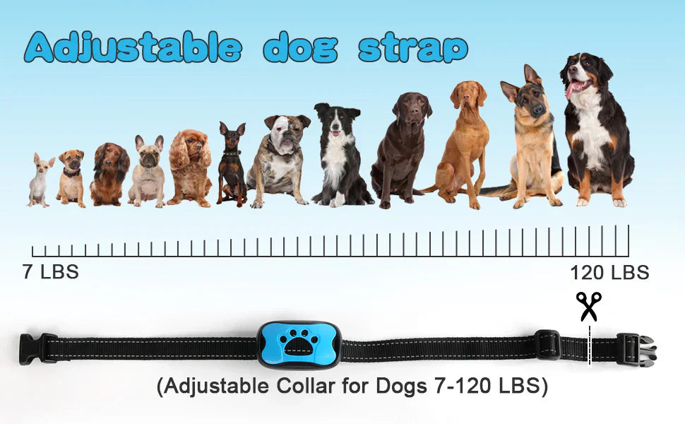Collare antiabbaio intelligente per cani, senza scosse: beep e vibrazione, CalmPaw
