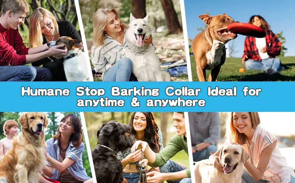 Collare antiabbaio intelligente per cani, senza scosse: beep e vibrazione, CalmPaw