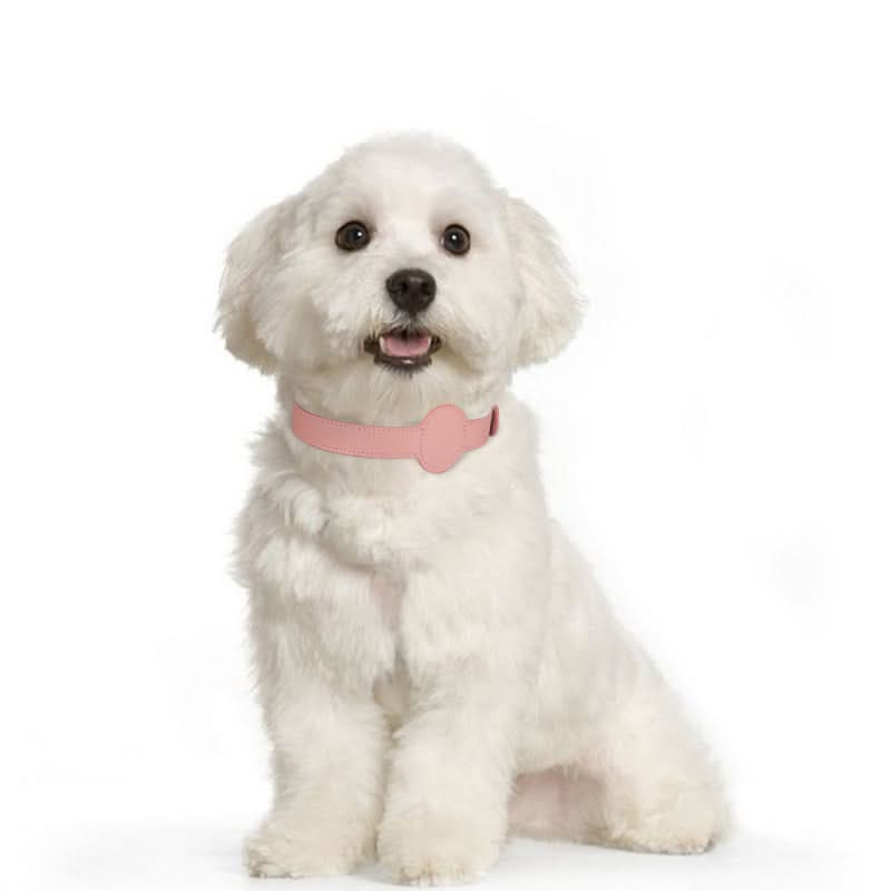 Collar para perro con soporte integrado para AirTag para seguridad y estilo - Fioriscas